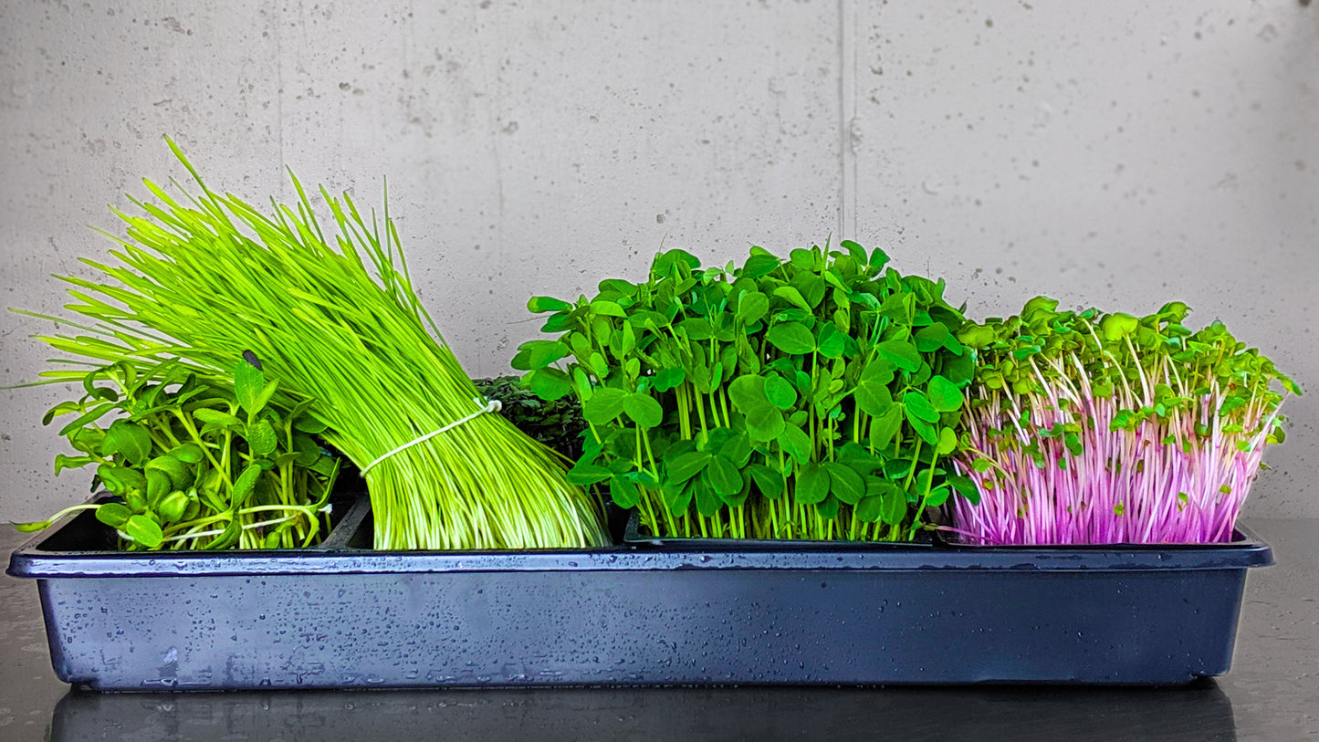 MiracleMicrogreens™