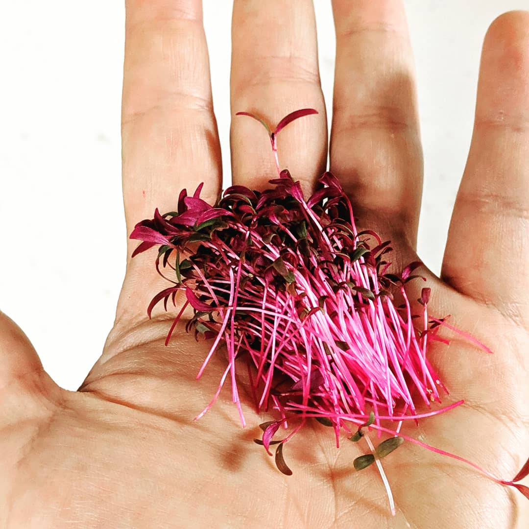 MiracleMicrogreens™